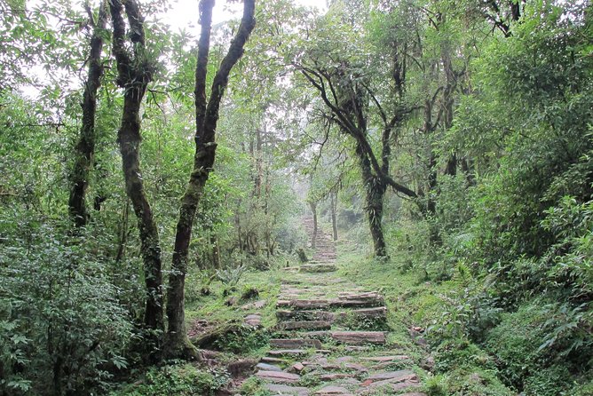 1-Day Private Dhampus Trekking Tour - Weather Reality: When Peaks Are Clouded, Your Day Still Has Meaning