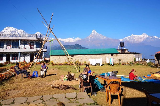 1-Day Private Dhampus Trekking Tour - Price and Logistics: What’s Included, What You Handle