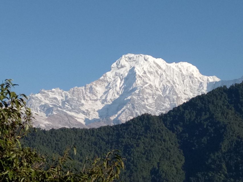 1 N 2 Days easy Dhampus,Australian camp trek from Pokhara - Lodges, Food, and What “Easy” Really Means