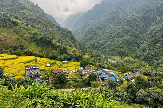 1 Night 2 Days Best Hiking in Pokhara - Day 2: Dhampus to Australian Camp, Then Kande Back to Pokhara