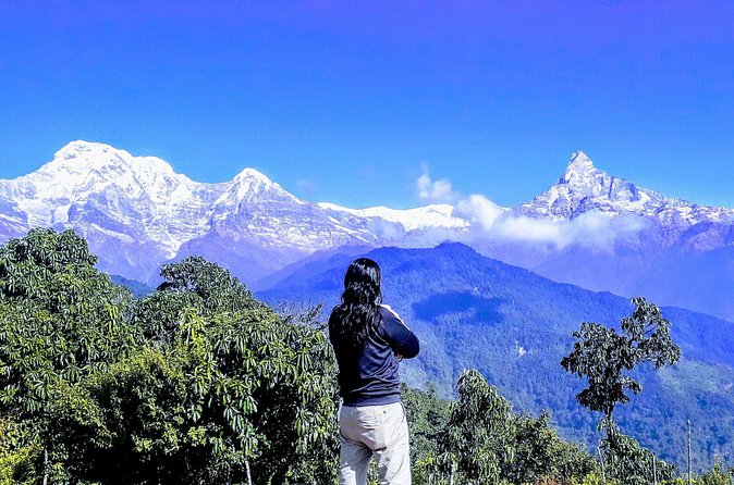 1 Night 2 Days Best Hiking in Pokhara - Price and Value: How $68 Works When Meals and Pickup Are Included