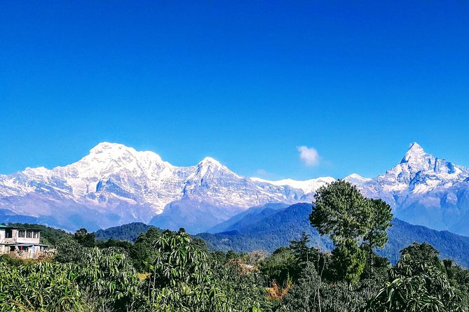 1 Night 2 Days Best Hiking in Pokhara - Getting There: Lakeside Pickup, Jhijhirka Start, and Early Footsteps