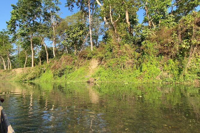 1 Night 2 Days Chitwan Jungle Safari Tour - Jeep Safari in Chitwan National Park, Plus Museum and Sunset Time