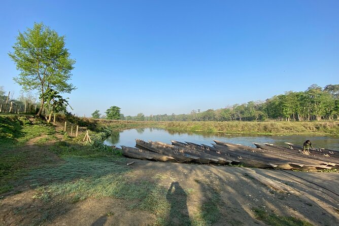 1 Night 2 Days Chitwan Jungle Safari Tour - Day 2 Bird Watching and an Early Return, Including Where You Can Drop Off