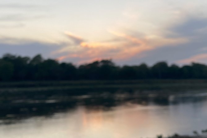 1 Night 2 Days Chitwan Jungle Safari Tour - Price and Logistics: Is $155 Good Value?