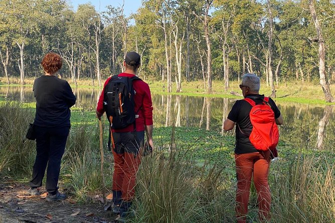 1 Night 2 Days Chitwan Jungle Safari Tour from Kathmandu - The Timing Detail That Can Make or Break Day 1