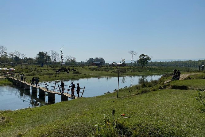 1 Night 2 Days Chitwan Jungle Safari Tour from Kathmandu - Day 2: The Morning Jeep Safari, Plus Breakfast and Return