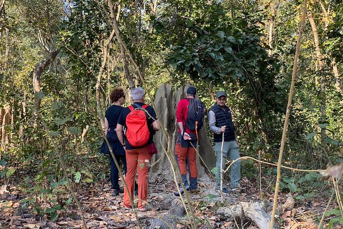 1 Night 2 Days Chitwan Jungle Safari Tour from Kathmandu - Resort Stay, Food, and the Comfort Factor
