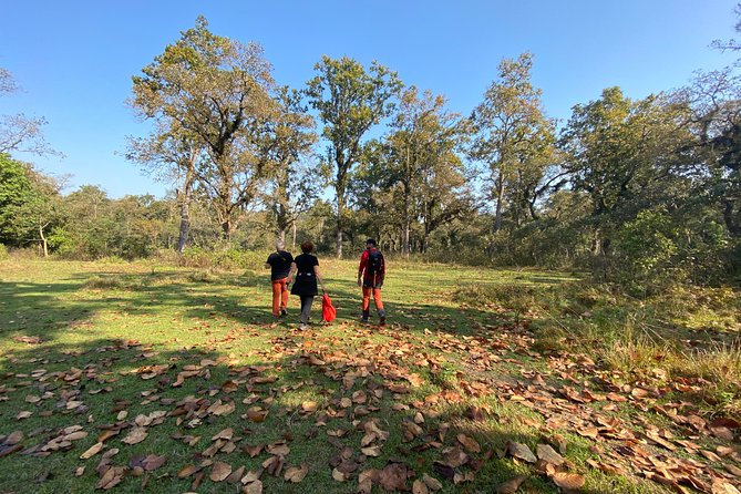 1 Night 2 Days Chitwan Jungle Safari Tour from Pokhara or Kathmandu - The 7:00 am start and why it matters for your wildlife time