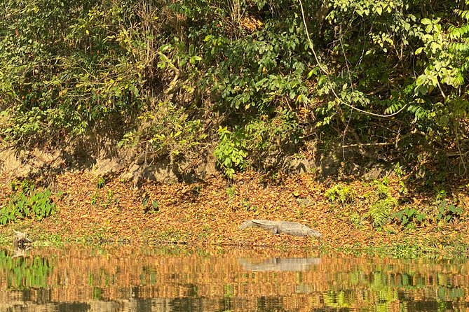 1 Night 2 Days Chitwan Jungle Safari Tour from Pokhara or Kathmandu - Day 2 morning bird watching, then back to Pokhara or Kathmandu