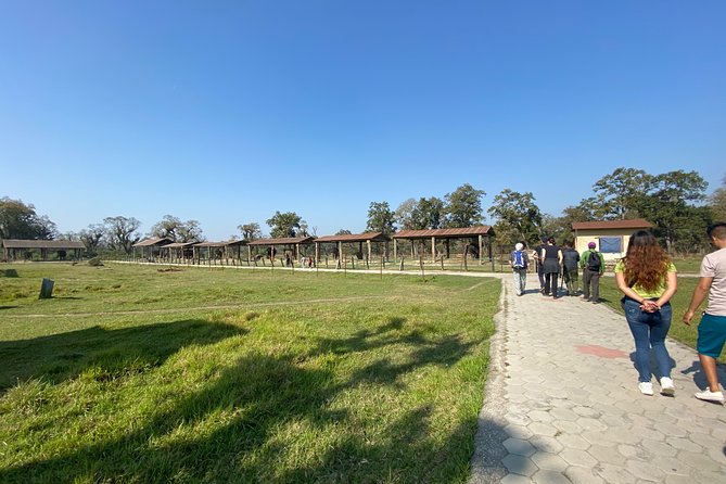 1 Night 2 Days Chitwan Jungle Safari Tour from Pokhara or Kathmandu - Wildlife odds: what to look for without expecting a guaranteed show