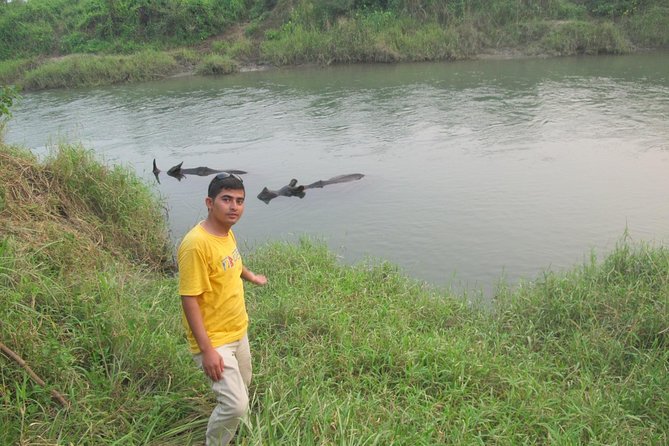 10 Day Kathmandu, Nagarkot, Chitwan, Lumbini, Pokhara Luxury Tour in Nepal - Chitwan National Park: jeep safari plus canoe time and Tharu culture