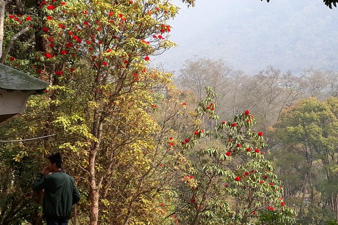 10 days Annapurna Base Camp Trek - Day 3 to Chhomrong: steep work, then reward views