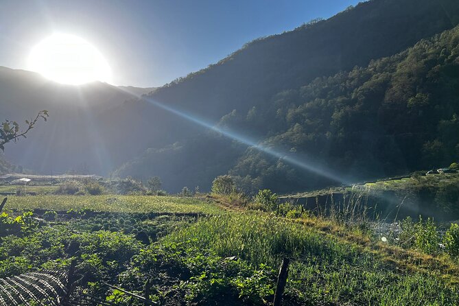 10 days Annapurna Base Camp Trek - Day 4 to Dovan: Machhapuchare sightings and a bamboo-forest change of mood