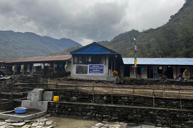 10 days Annapurna Base Camp Trek - Day 7 to Jhinu Danda: down through rhododendron, then a softer landing