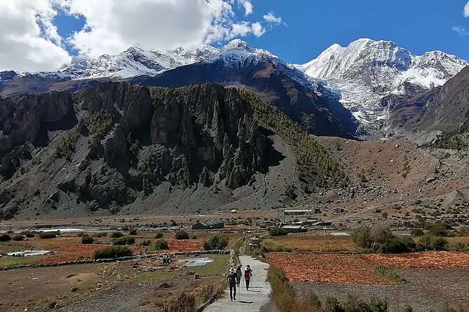 10 Days Annapurna Circuit Trek - Days 2 to 4: Manang district build-up, pine forest walking, big peak payoffs