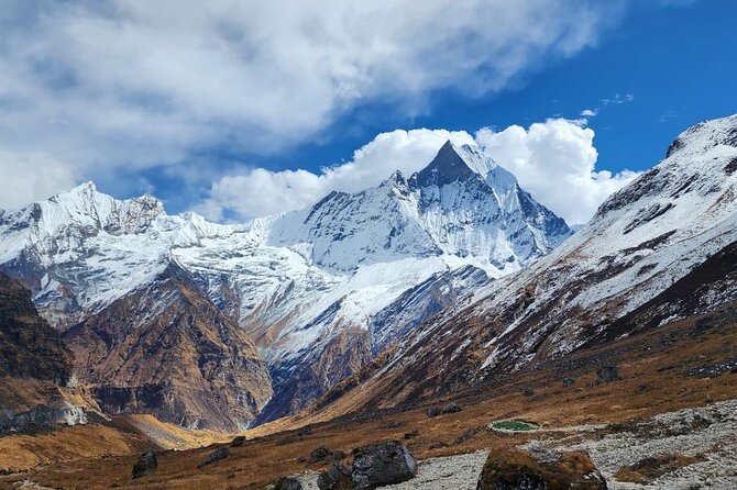 10 Days Private Annapurna Base Camp Trek - The long downhill rhythm back to Sinuwa, Bamboo, and Jhinu Danda
