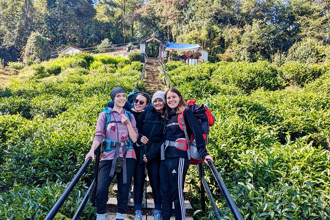 10 Days Private Guided Annapurna Basecamp Trek via Poon Hill - Heading into Annapurna Base Camp: Fishtail sunsets and Annapurna I mornings