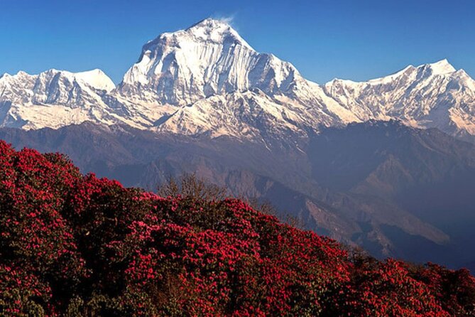 10 Days Private Guided Annapurna Basecamp Trek via Poon Hill - Ghorepani and the Poon Hill sunrise plan