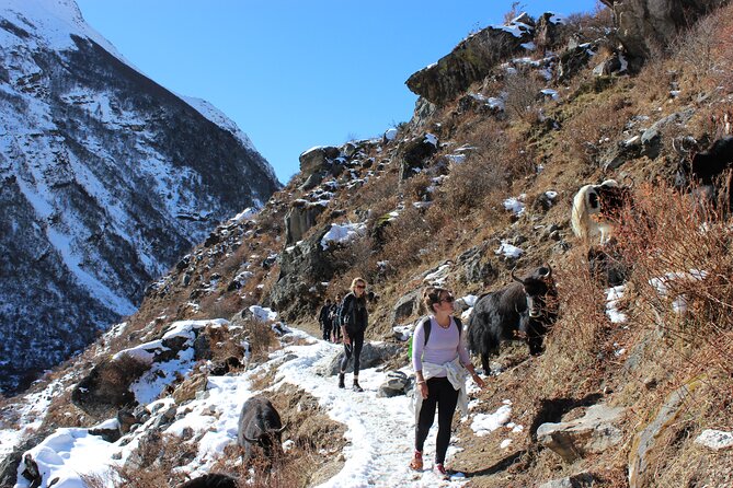 10-Days Private Langtang Valley Trek in Nepal - Kyanjin Gompa day: monastery culture and calm altitude time