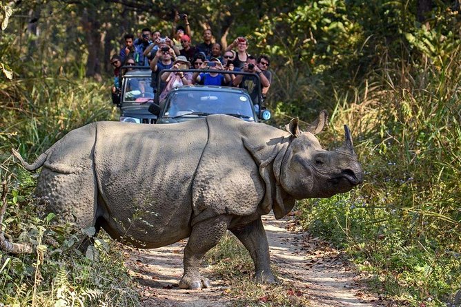 10 days Special Nepal Tour Package - Pokhara and Sarangkot Sunrise: The View Day You’ll Remember