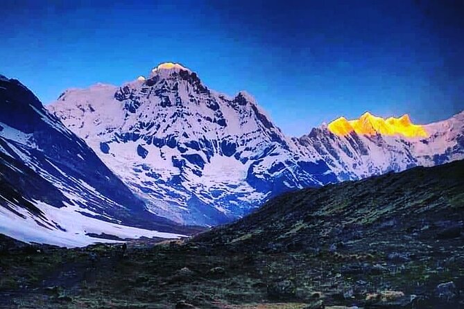 11-Day Hike Tour to Annapurna Base Camp Bliss in Kathmandu - Poon Hill sunrise views, then the rhododendron descent to Tadapani