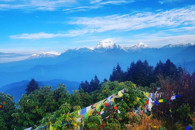 11-Day Hike Tour to Annapurna Base Camp Bliss in Kathmandu - Tikhedhunga to Ulleri: the 3,300-stair moment