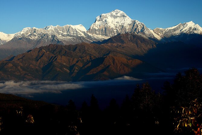 12-Day Nepal Adventure Trek with Jungle Safari - Tikhedhunga, Ghorepani, and the climb that teaches you to pace