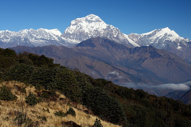 12-Day Nepal Adventure Trek with Jungle Safari - Ghandruk and Syuli Bazaar: long descents and forest walking