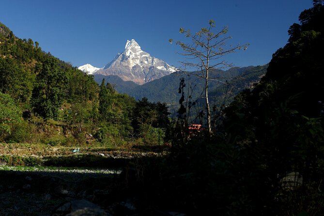 12-Day Nepal Adventure Trek with Jungle Safari - Kathmandu start: Monkey Temple to Pashupatinath with a time-saving guide
