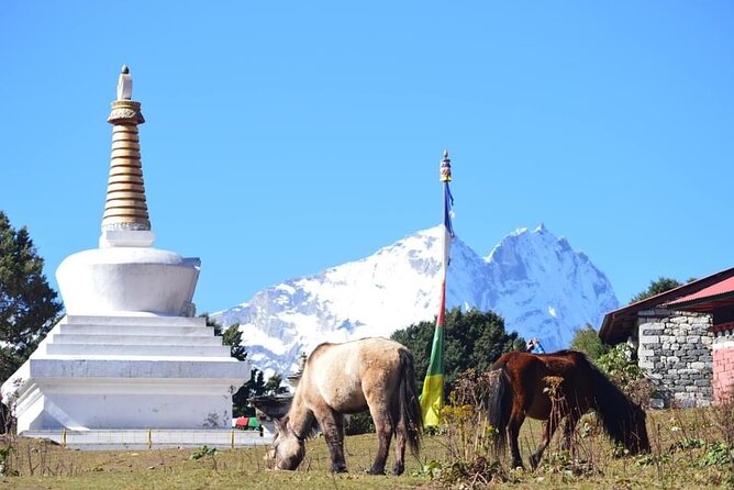 12 Day Private Mt. Everest View Luxury Trek - Khumjung and Tengboche connections: villages plus panoramic mountain time