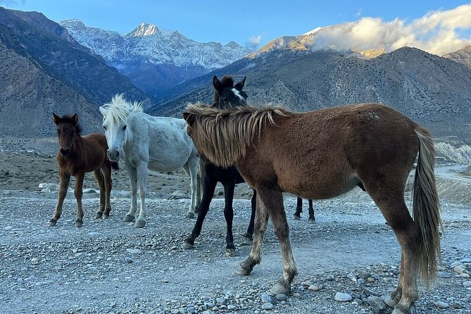 12 Days Overland Tour to Upper Mustang - Day 2 Kathmandu Valley sightseeing: the cultural warm-up