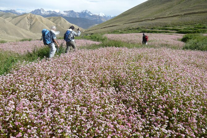 12 Days Overland Tour to Upper Mustang - Day 3 private Jeep transfer to Pokhara: changing scenery, same planning