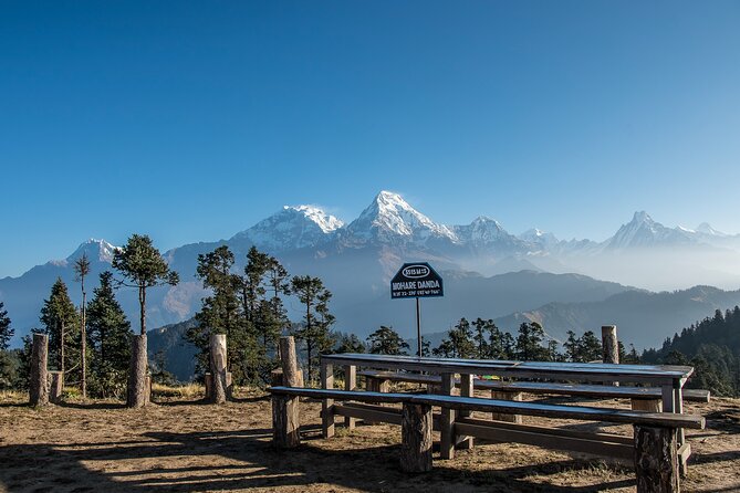 12 Days Trek Tour in Nepal - Mohare Danda’s Quiet Trail, Real Village Life, and the Annapurna Views You Actually Came For
