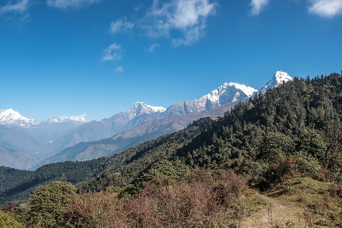 12 Days Trek Tour in Nepal - Day 7 Sunrise and Trek Toward Deurali: A Morning View, Then Past Gorepani