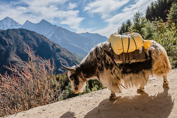 13-Day Private Trekking Experience in Everest Base Camp - The long downhill, back to Namche and Lukla flight timing