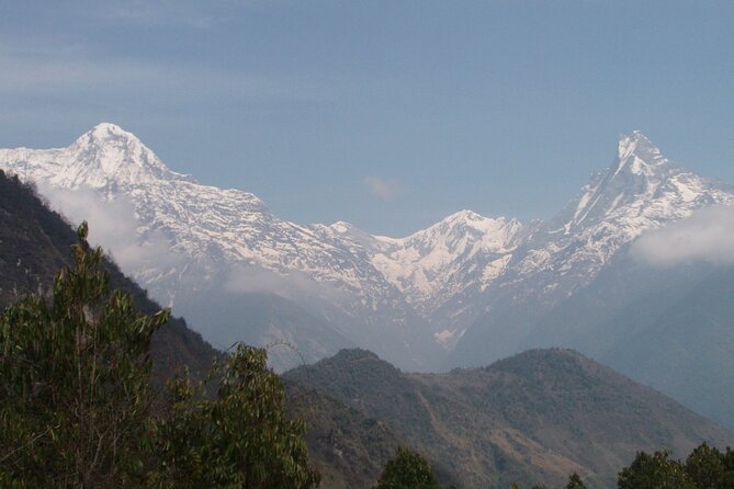 14-Day Annapurna Base Camp Trek from Kathmandu - Chomrong to Sinuwa: Forest Steps and a Real Gateway Feeling (Days 7 to 8)
