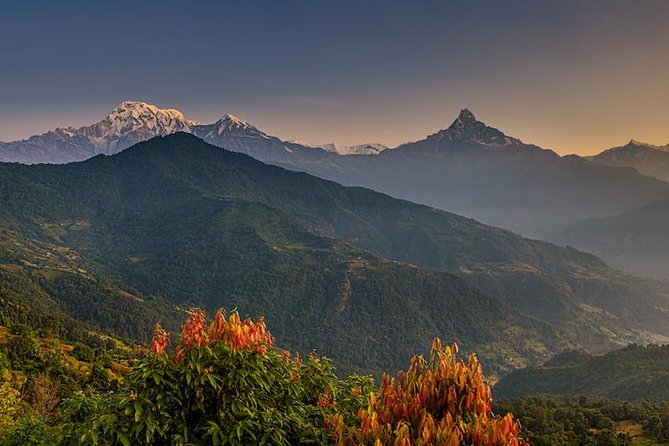14 days Annapurna Base Camp Trek - Annapurna Base Camp day: the 3 A.M. sunrise option, and the slower approach