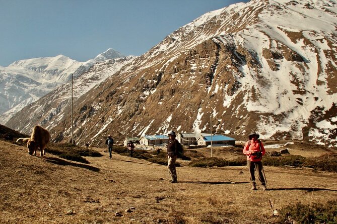 14 Days Annapurna Circuit Trek - Chame to Pisang and on to Manang: when the mountains get closer