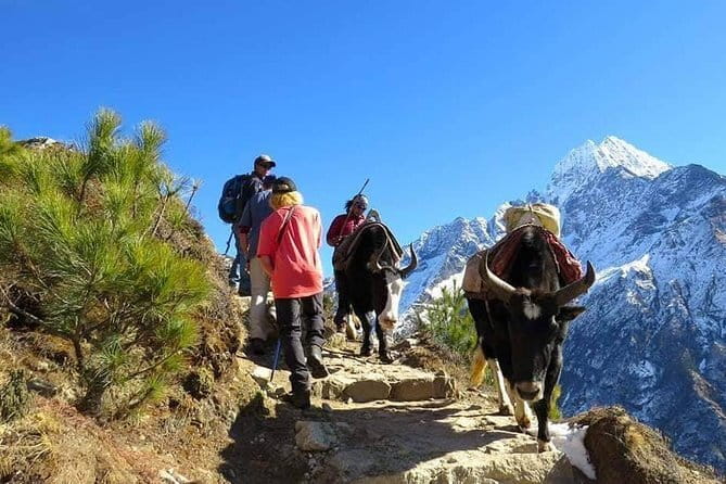 14 Days Everest Base Camp Trekking - Kala Pathar and the downhill return: your big view payoff