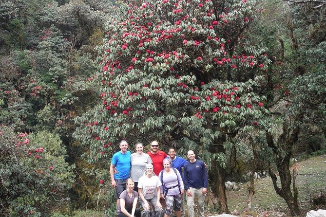 14 Days Luxury Annapurna Base Camp Trek - Deurali wilderness feel, suspension bridge drama, and the road toward ABC