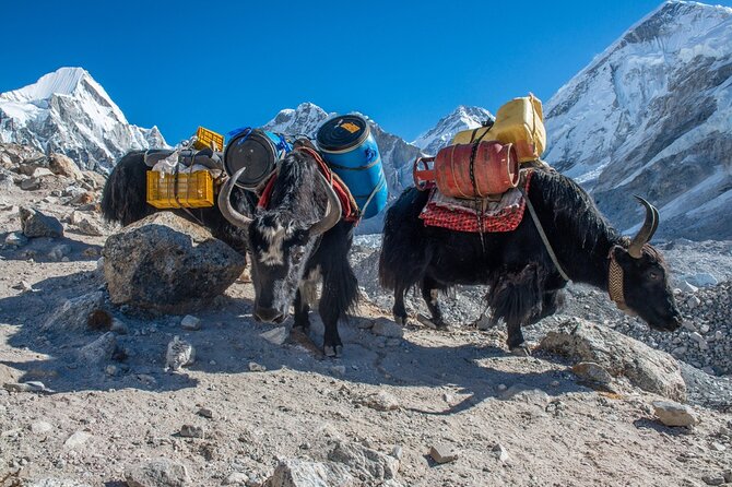 14 Days Private Tour Everest Base Camp Trek - Dingboche, Ama Dablam Up Close, and Nangkartsang Peak