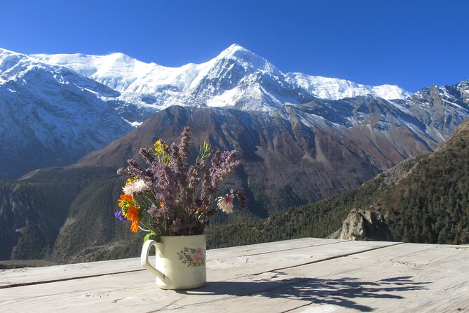15-Day Private Annapurna Circuit Trek from Kathmandu - Climbing Toward Manang: Forest Sections, Dense Valley Footsteps, and Curved Rock Views