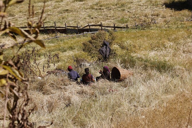 15 Days Manaslu Circuit Trek - Samdo and Dharmasala: Tibetan refugee village to yak pastures