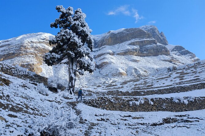 15 Days Round Annapurna Trek with Poon Hill from Pokhara - Quick hits that matter on the ground