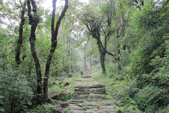 2-Day Private Trekking Tour to Australian Camp & Dhampus - Overnight in Dhampus, guest house comfort and mountain-morning fuel
