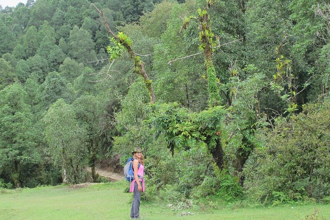 2-Day Private Trekking Tour to Australian Camp & Dhampus - Price and logistics, is $99 really good value?
