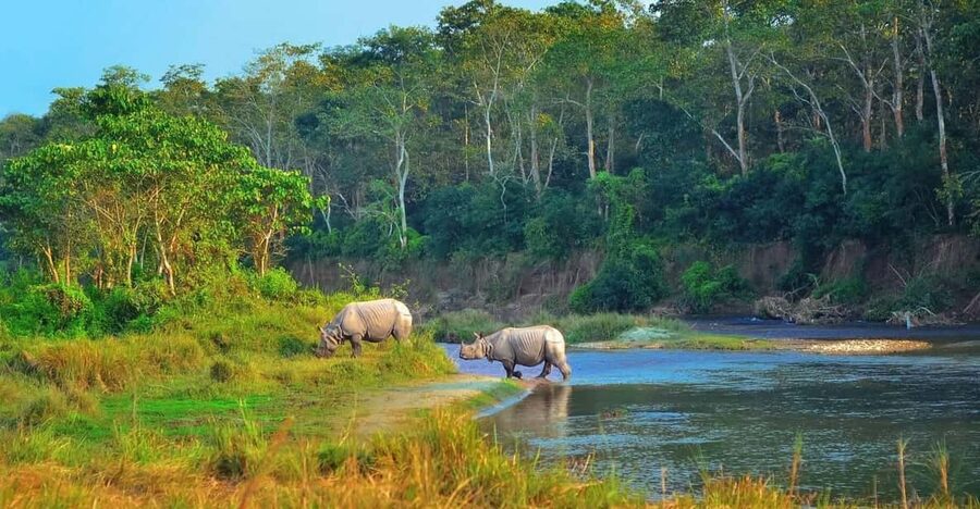 2 Days Chitwan Jungle Safari Tour from Pokhara/Kathmandu - Price and value: what $117 includes, and what you should watch for
