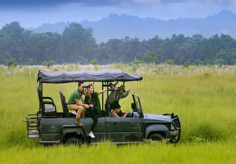 2 Days Chitwan Jungle Safari Tour from Pokhara/Kathmandu - Day 1 in Chitwan: lunch, jungle safari, and the Rhino and Tiger search