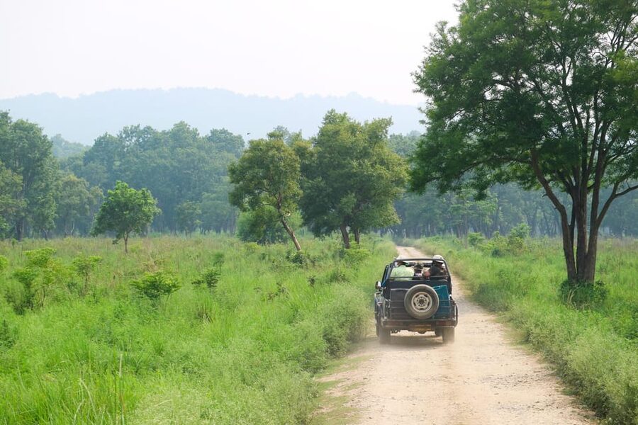 2 Days Chitwan Jungle Safari Tour from Pokhara/Kathmandu - Day 2: early jungle walk, then breakfast and the trip back